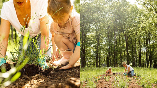 Welcome To Our Garden: See Where We Grow Our Own Propriety Herbs