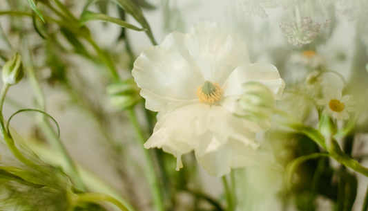 Winter Skin vs. Summer Skin: Why Your Routine Should Change With the Seasons